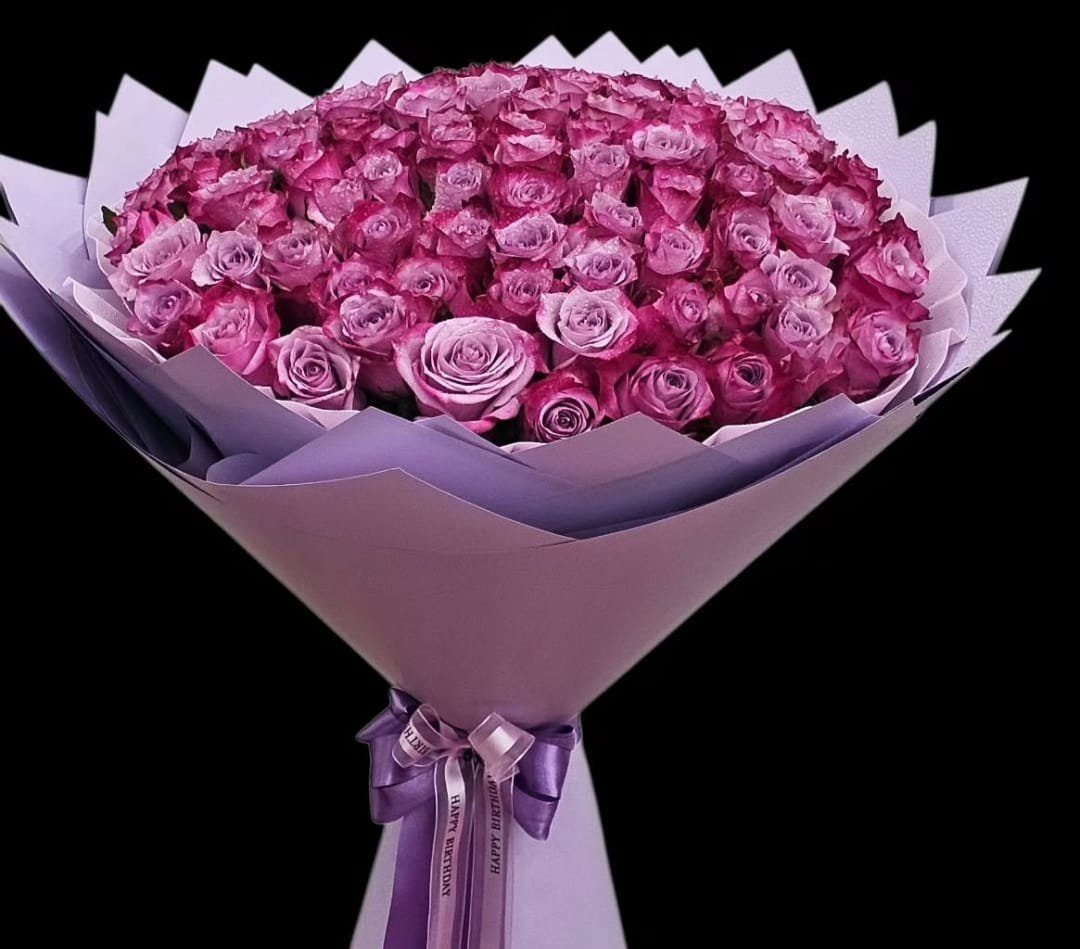 Elegance Dream Roses